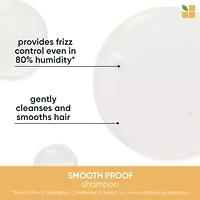 Biolage Smooth Proof Shampoo 13.5 oz.