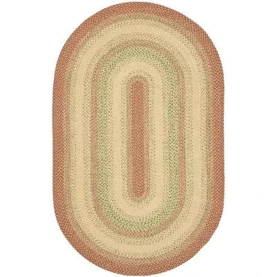 Safavieh Mckenzie Bordered Braided Rug