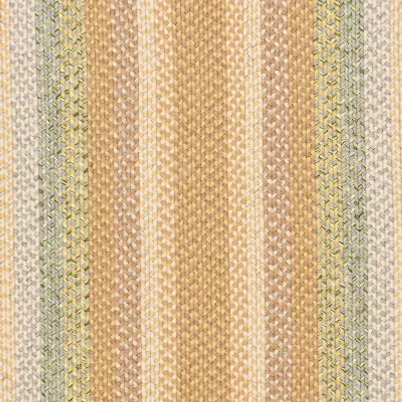 Safavieh Lactrice Bordered Braided Rug