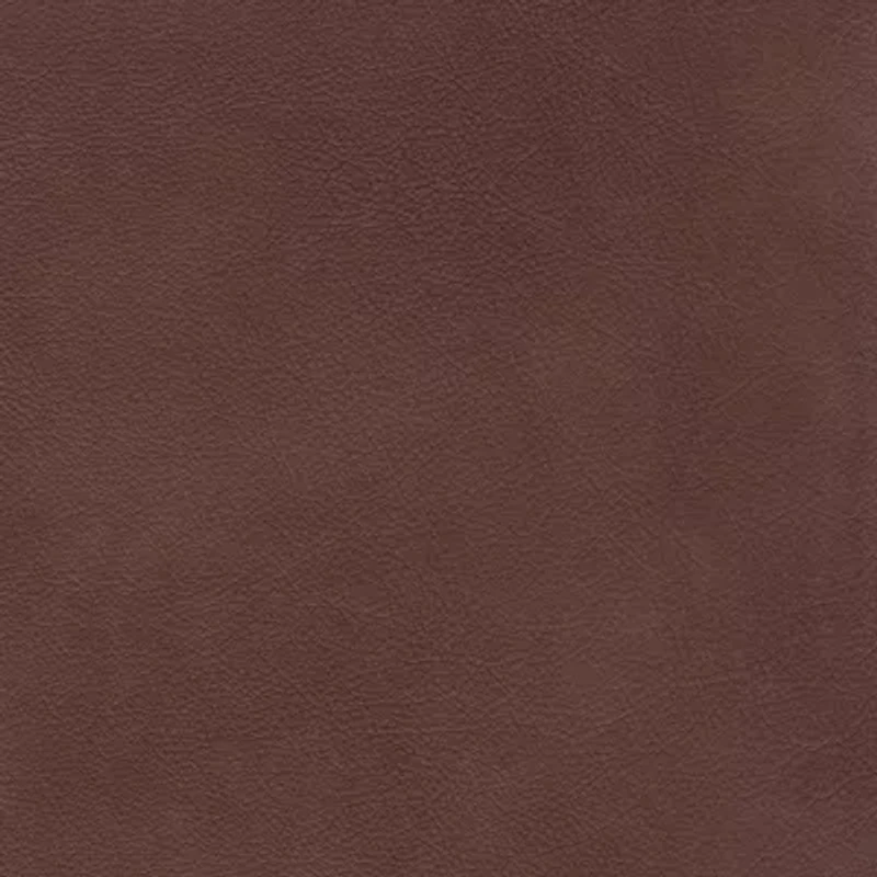 Aliso Leather Roll-Arm Sofa