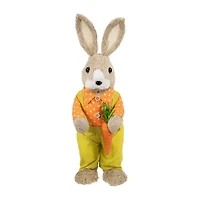 Northlight 16" Orange And Green Standing Boy Rabbit With Carrot Easter Figurine