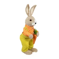 Northlight 16" Orange And Green Standing Boy Rabbit With Carrot Easter Figurine