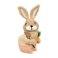 Northlight 10" Plush Boy Rabbit With Carrots Easter Figurine