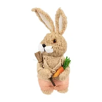 Northlight 10" Plush Boy Rabbit With Carrots Easter Figurine