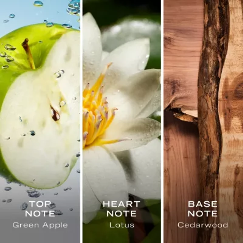 Nautica Voyage Eau De Toilette Cologne