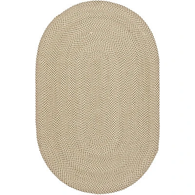 Safavieh Howard Solid Braided Rug