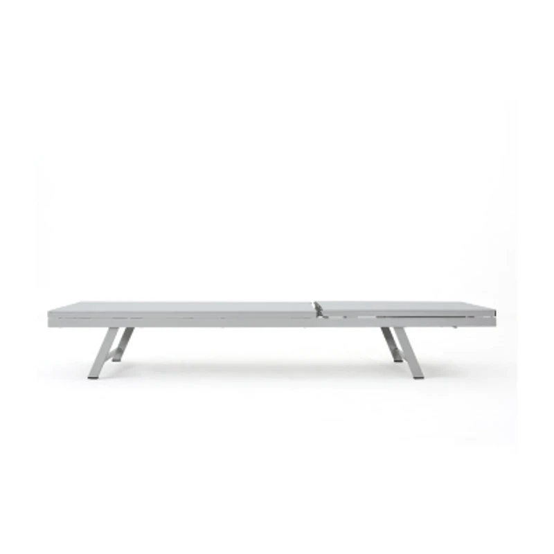 Salton Adjustable 2-pc. Lounge Chair