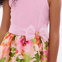 Bonnie Jean Big Kid Girls Sleeveless Fit + Flare Dress