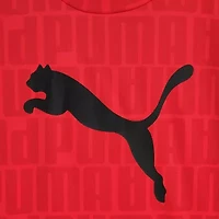 PUMA Big Kid Boys 2-pc. Short Set