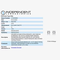 Ever Star (G / Vs2) 1/2 CT. T.W. Lab Grown White Diamond 14K Gold 4.1mm Round Stud Earrings