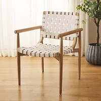 Safavieh Dionne Sling Chair