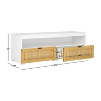 Safavieh Theon TV Stand