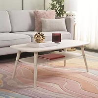 Safavieh Karou Storage Coffee Table