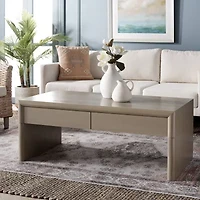 Safavieh Rune Storage 2-Drawer Coffee Table