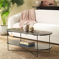 Marlee Storage Metal Coffee Table