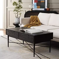 Pierre Storage 2-Drawer Coffee Table