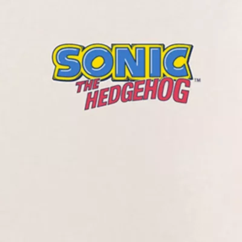 Boys Short Sleeve Regular Fit Sonic the Hedgehog Graphic T-Shirt