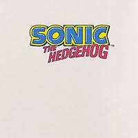 Boys Short Sleeve Regular Fit Sonic the Hedgehog Graphic T-Shirt