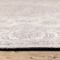 Covington Home Marcel Faded Traditional Indoor Rectangular Area Rug
