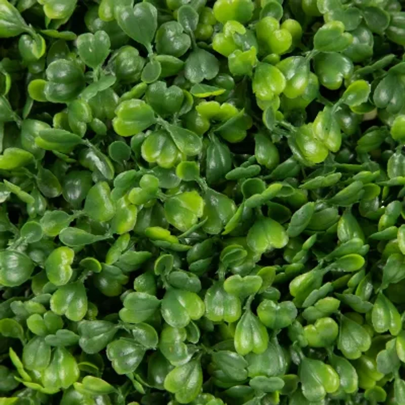 Northlight 16in Two Tone Green Boxwood Artificial Plant