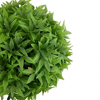 Northlight 3-pc. Solar Lighted Eugenia Artificial Plant