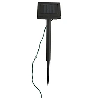 Northlight 3-pc. Solar Lighted Eugenia Artificial Plant