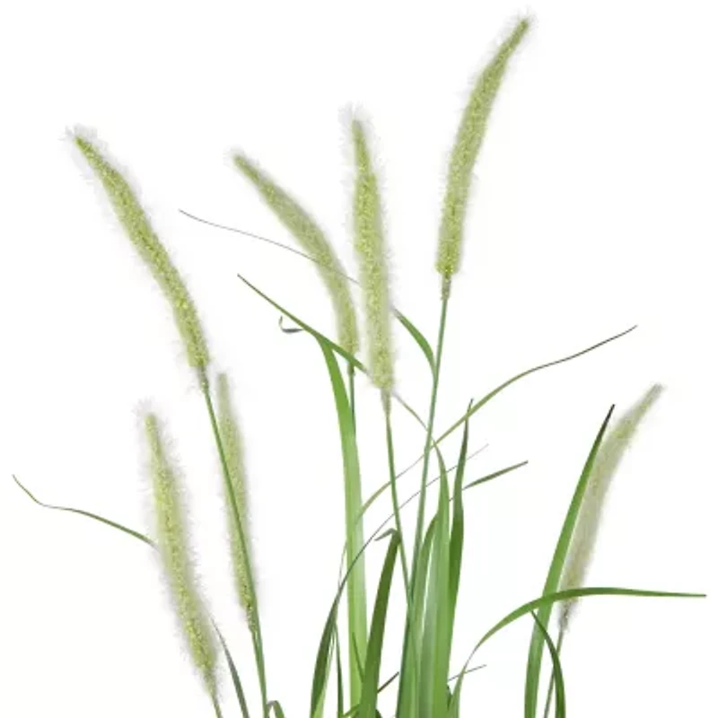 Northlight 36in Potted Green Onion Artificial Plant