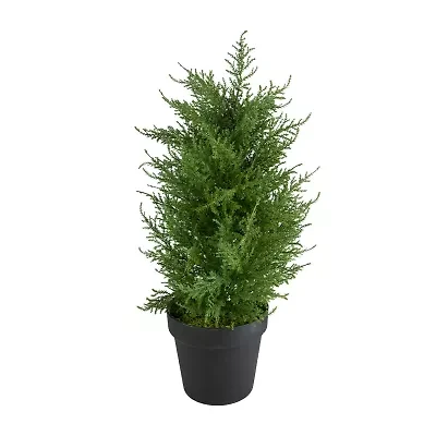 Northlight 2ft Real Touch™ Cedar Pine Petite Arborvitae In Round Pot Artificial Tree