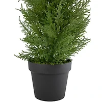 Northlight 2ft Real Touch™ Cedar Pine Petite Arborvitae In Round Pot Artificial Tree