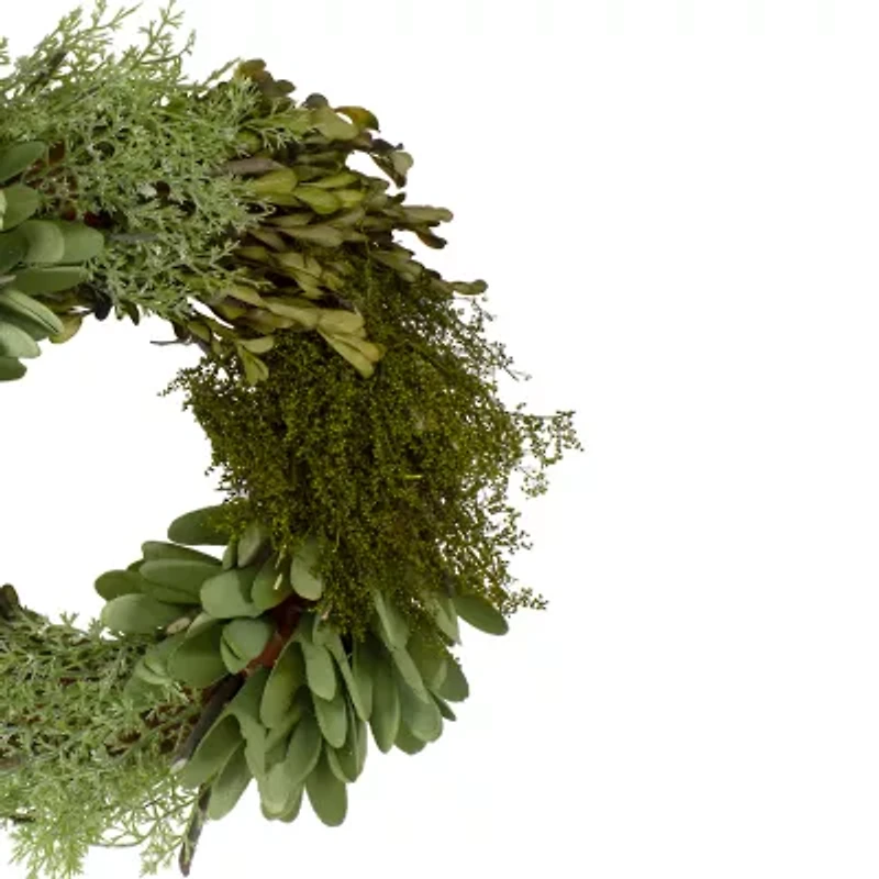 Northlight 14in Cedar Succulent And Day Grass Green Wreath