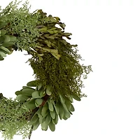 Northlight 14in Cedar Succulent And Day Grass Green Wreath