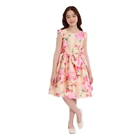 Bonnie Jean Big Kid Girls Short Sleeve Cap Fit + Flare Dress