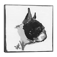 Lumaprints Boston Terrier Traditional Canvas Art