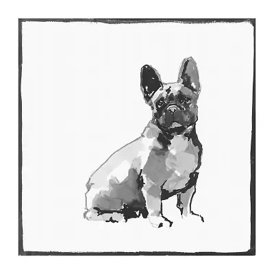 Lumaprints French Bull Dog Traditional Canvas Art