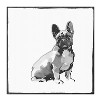 Lumaprints French Bull Dog Traditional Canvas Art