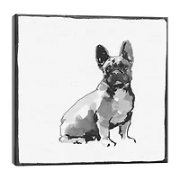 Lumaprints French Bull Dog Traditional Canvas Art