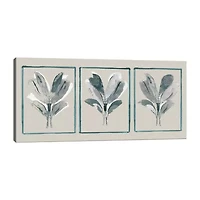 Lumaprints Three Botanicals Ii Modern Canvas Art