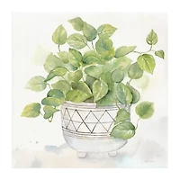 Lumaprints Houseplant I Philodendron Canvas Art