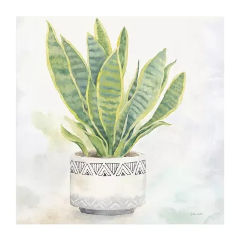 Houseplant IV Snake Plant Canvas Art