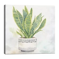 Houseplant IV Snake Plant Canvas Art