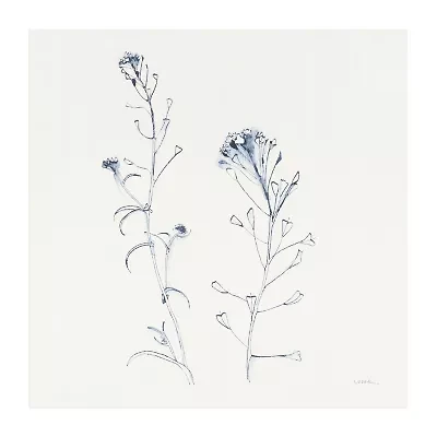 Lumaprints Shepherds Purse Stems I Blue Canvas Art