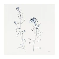 Lumaprints Shepherds Purse Stems I Blue Canvas Art