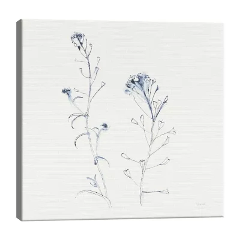 Lumaprints Shepherds Purse Stems I Blue Canvas Art
