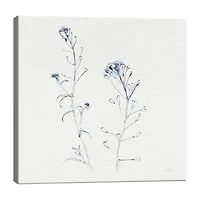 Lumaprints Shepherds Purse Stems I Blue Canvas Art