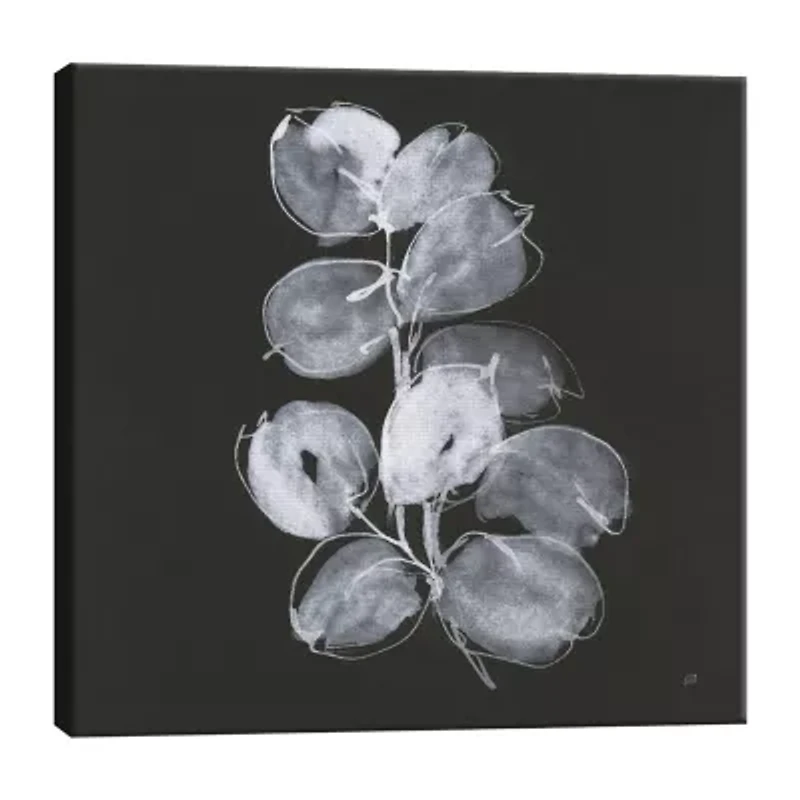 Lumaprints White Eucalyptus I Canvas Art