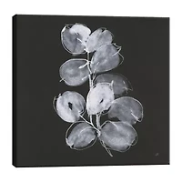 Lumaprints White Eucalyptus I Canvas Art
