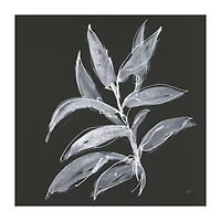 Lumaprints Branch Iv Canvas Art