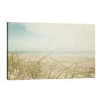 Lumaprints Beach Grass V Light Canvas Art