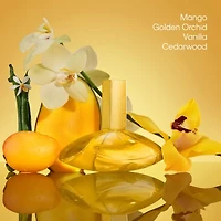 Calvin Klein Euphoria Solar Elixir Parfum Intense for Women