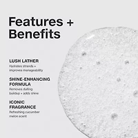 Paul Mitchell Awapuhi Travel Size Shampoo 2.5 oz.